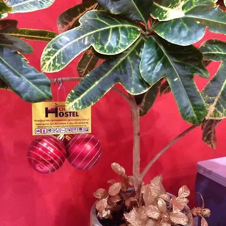 Ostello Cherry Leopoli